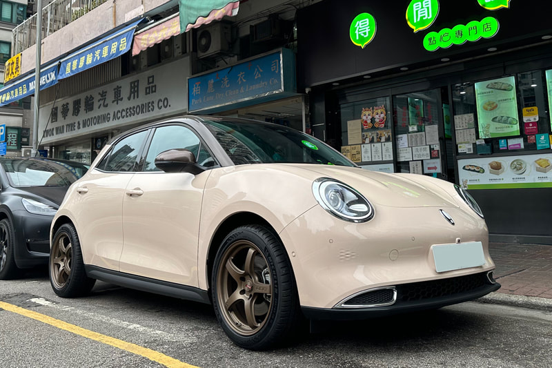 ORA Funky Cat and Good Cat and EV and Rays 57CR wheels and michelin pilot sport 5 tyre and tyre shop hk and Future Motors and 世譽汽車